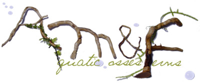 Je suis envahi : à l'aide Moretto-maxime-logo-1542891741